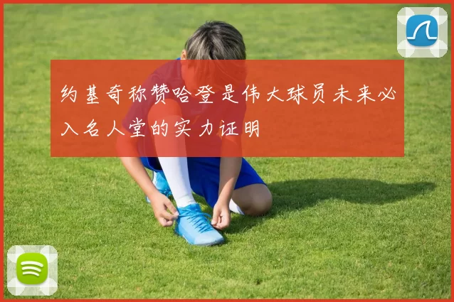 约基奇称赞哈登是伟大球员未来必入名人堂的实力证明
